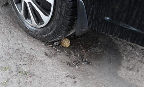 Жителя Попаснянського району підозрюють у замаху на вбивство