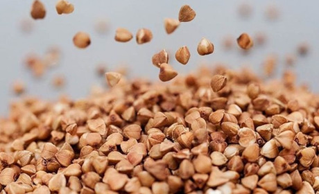 Уряд заборонив експорт гречки