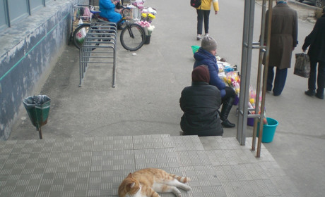 Квітень, коронавірус, життя