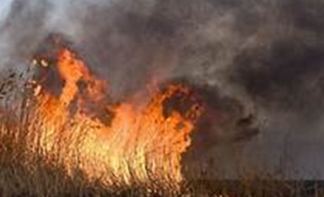 На минулому тижні на Ніжинщині виникло 15 пожеж