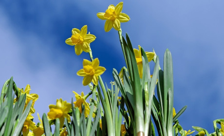 Погода на 6-12 квітня: нові температурні рекорди та чи будуть опади