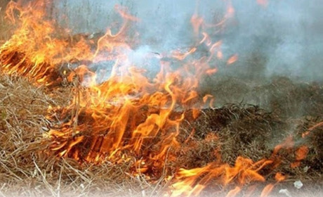 У Чижівці вогонь знищив три гектари сухостою: деталі пожежі