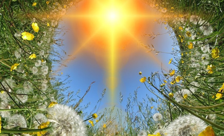 Є питання: чи допоможе літня спека у боротьбі з коронавірусом