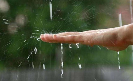 Наступний тиждень на Кагарличчині буде з короткочасними дощами