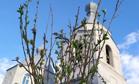 Богослужіння в умовах карантину: безпека і порядок передусім