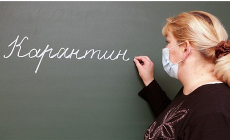 Как учиться во время карантина и как изменят ветеринарную медицину