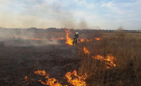 Штрафи за підпал сухої трави збільшили в 18 разів