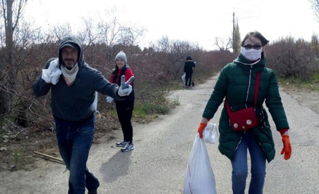 Активісти “Дневного дозора” висадили 50 дерев по вулиці Букіна