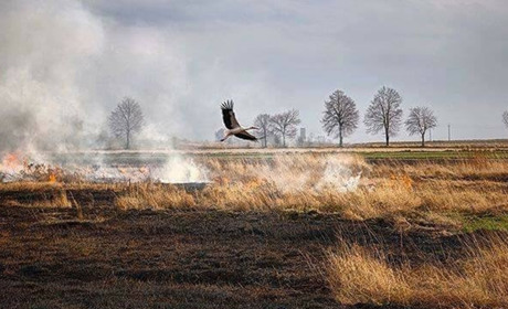 Верховна Рада підвищила штрафи за підпал сухостою у 18 разів