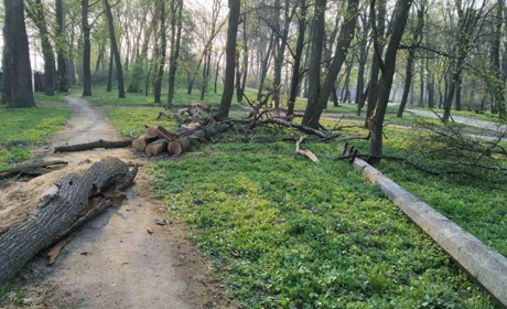 Буревій пошкодив у Кагарлику лінію електропередач, повалив дерева та зірвав шифер з багатоповерхівок