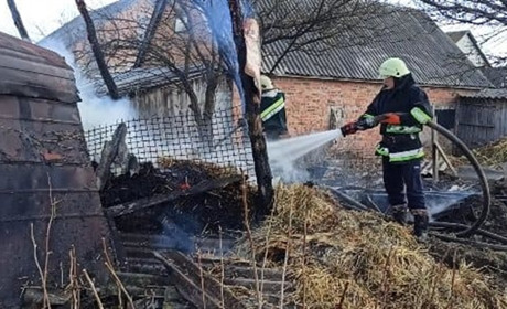 Чи зупинить посилене покарання паліїв луків і лісів: закон про збільшення відповідальності вже є