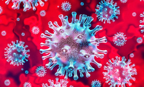 В Україні рекордне зростання хворих на COVID-19, а на Хмельниччині одужала ще одна жінка (оновлено) 