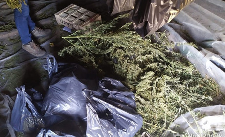 Поліцейські знайшли 8 кг коноплі на горищі у старокостянтинівця