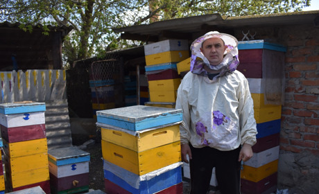 Бджола — не корова, її просто так не закриєш. Або чому на Сірогозщині продовжують гинути бджоли