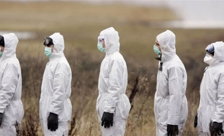 Від чуми до коронавірусу: історія пандемії в цифрах
