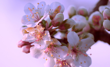 Погода на 20-26 квітня: очікується поривчастий вітер та нічні заморозки