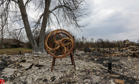 30 фото з лісових пожеж та згорілих українських сіл неподалік Чорнобильської зони