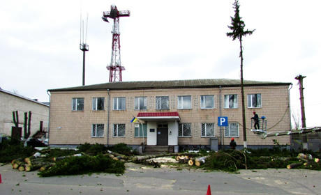 У Корюківці біля поліції спиляли ялинки. Не всім містянам це сподобалося