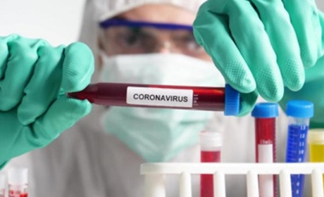 COVID-19 на Тернопільщині: новий рекорд, + 71 за добу, загалом - 779 хворих