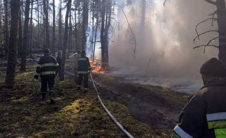 Новини міста за 27 квітня-3 травня: про порядок на «Новиках», медобладнання та повернення додому