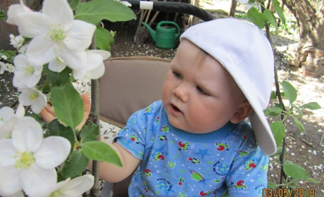 Коли працювати на городі та в садку в травні