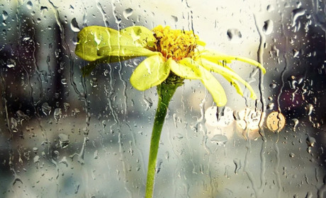 Погода на 4-10 травня: дощитиме та похолодає