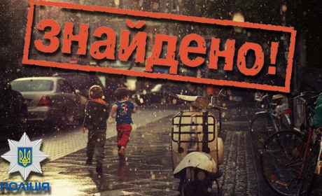 Пропавшую девушку искали всю ночь
