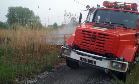 Невідомі спалили альтанку на міському пляжі в Мені