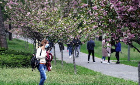 З 11 травня дозволено відвідувати сквери і парки, а також торгувати непродовольчими товарами