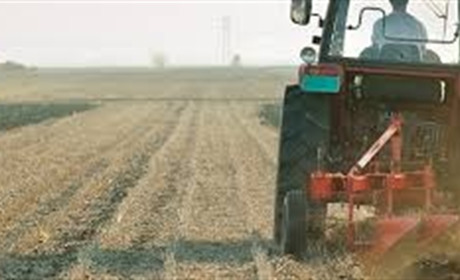 Аграрії біляївського району до 15 травня можуть подати заяву щодо збитків через посуху