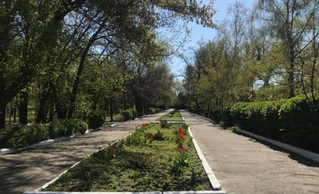 Карантин на Петропавлівщині послаблено: яким закладам дозволили працювати