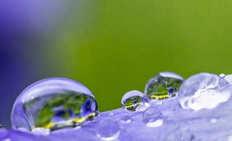 Погода на 11-17 травня: тиждень принесе дощі і похолодання