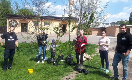 Активісти висадили сакури біля дитячого майданчика на Спаській Леваді