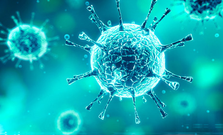 Ситуація на 14 травня: на Володимиреччині 1 підозра та 3 перевірки, у Вараші – 16 підозр