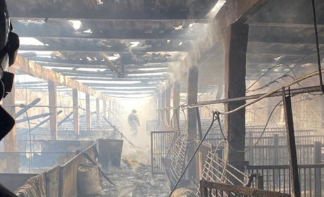 У селі Стайки Кагарлицького району згоріла свиноферма