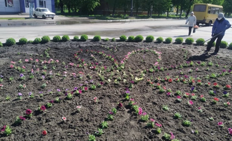 На шосткинських клубмах вже висаджено понад 1 500  різноманітних квітів