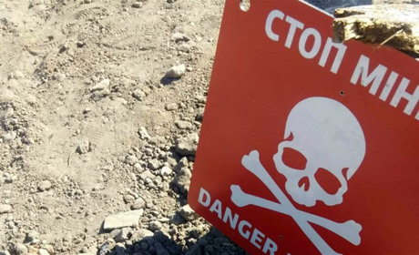 Біля Новотроїцького жінка отримала поранення від протипіхотної міни 