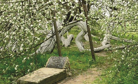 Яке з "Чудес України" можна відвідати білопільцям впродовж одного дня