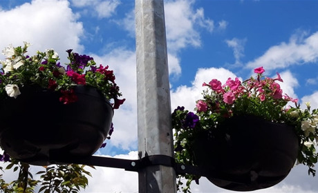 Старокостянтинів квітує: на головній вулиці висадили сульфінії у горщиках