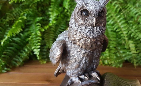 В Троїцьке повернулися сови