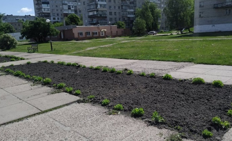 Шосткинські активісти впорядкують декілька клумб міста