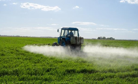 Коли і де оброблятимуть поля хімікатами: попередження пасічників