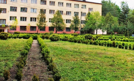 Сфотографуй свій газон та отримай відзнаку 