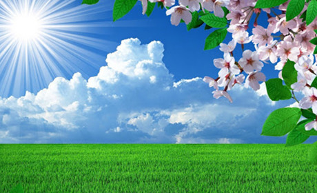 Наприкінці наступного тижня в Кагарлицькому районі очікується по-справжньому літня погода