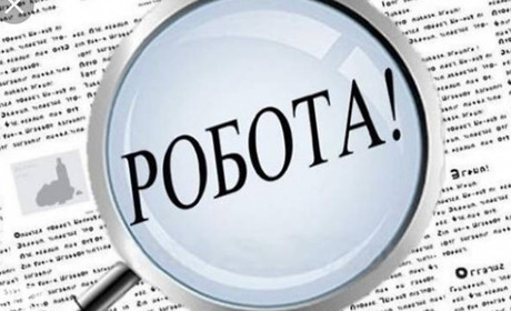 Актуальні вакансії: кого шукають роботодавці під час карантину