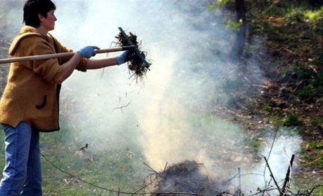 За що оштрафували вісьмох мешканців Корюківського району