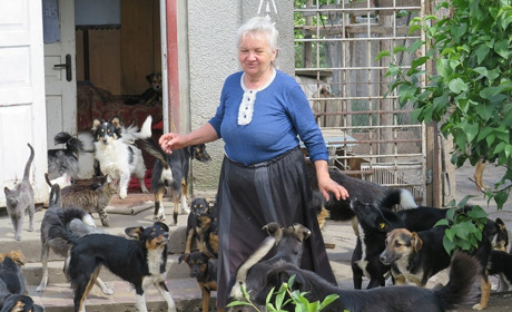 37 котів і 22 собаки. Заради тварин Ірина Ружаленко продала квартиру і «влізла» в кредити