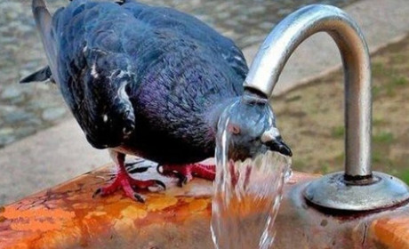 Упродовж наступного тижня у Кагарлицькому районі очікується до +31