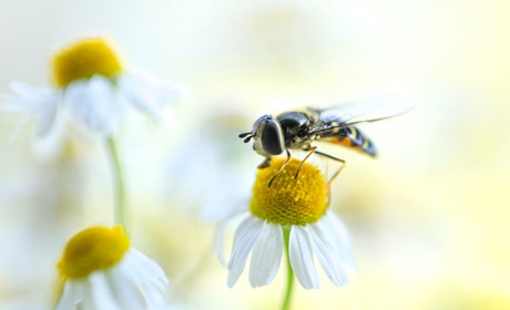 Погода на 8-14 червня: тиждень буде спекотним