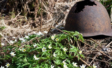 Під Феодосією знайшли рештки солдата призваного Нижньосірогозьким райвійськкоматом у 1941 році